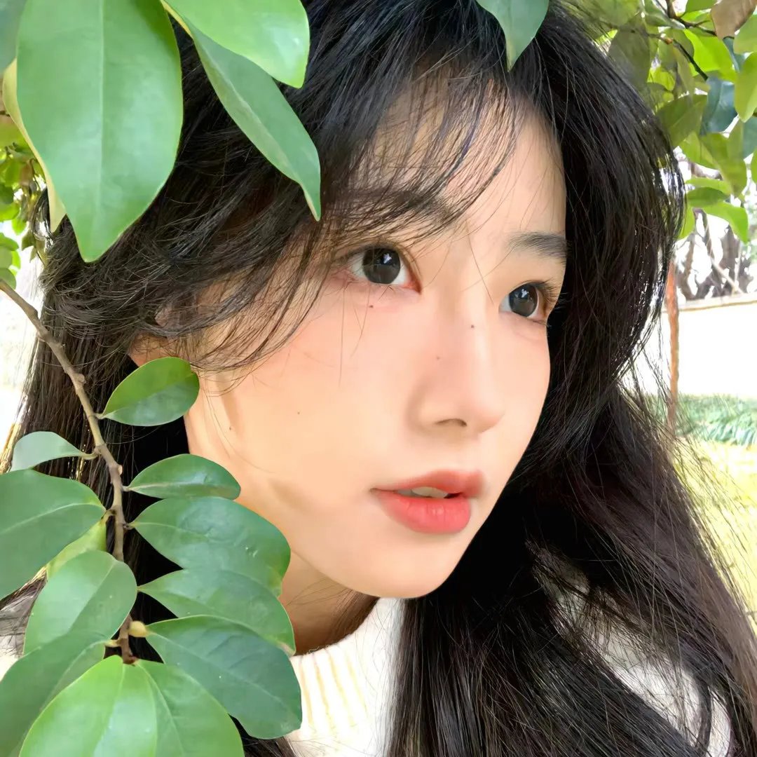 真假王爷
